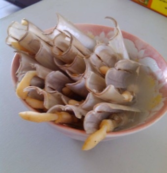 QQ图片20140713194821.jpg